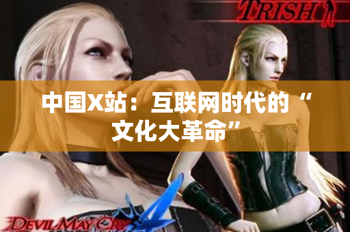 中国X站：互联网时代的“文化大革命”