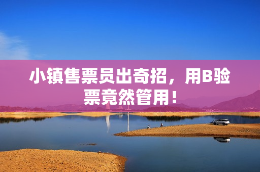 小镇售票员出奇招，用B验票竟然管用！