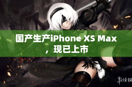 国产生产iPhone XS Max，现已上市