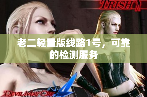 老二轻量版线路1号，可靠的检测服务