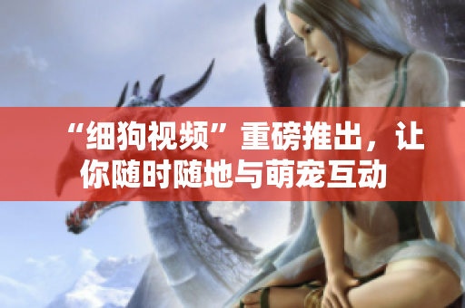 “细狗视频”重磅推出，让你随时随地与萌宠互动