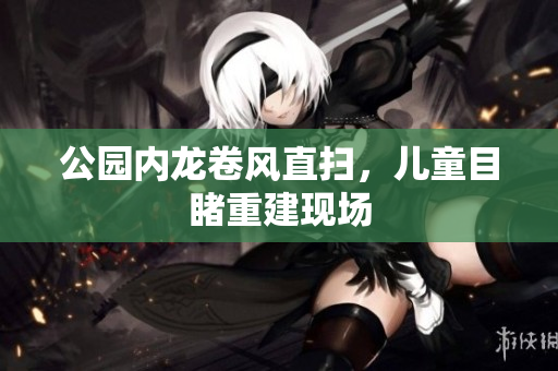 公园内龙卷风直扫，儿童目睹重建现场