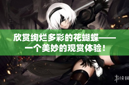 欣赏绚烂多彩的花蝴蝶——一个美妙的观赏体验！