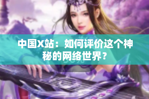 中国X站：如何评价这个神秘的网络世界？