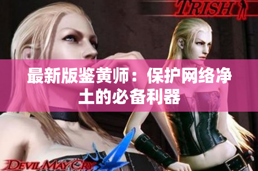 最新版鉴黄师：保护网络净土的必备利器