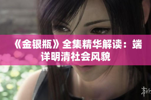《金银瓶》全集精华解读：端详明清社会风貌