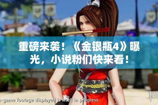 重磅来袭！《金银瓶4》曝光，小说粉们快来看！