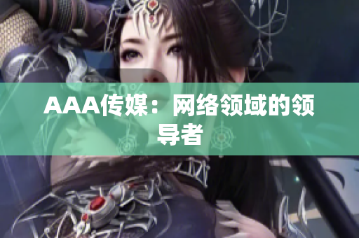 AAA传媒：网络领域的领导者