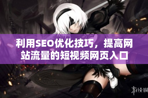 利用SEO优化技巧，提高网站流量的短视频网页入口