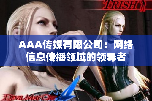AAA传媒有限公司：网络信息传播领域的领导者