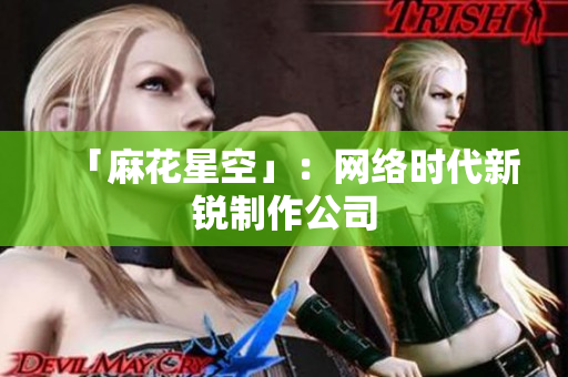 「麻花星空」：网络时代新锐制作公司