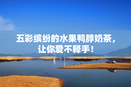 五彩缤纷的水果鸭脖奶茶，让你爱不释手！
