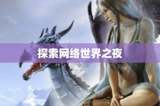 探索网络世界之夜