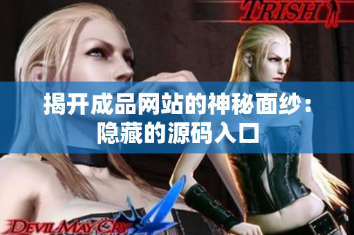 揭开成品网站的神秘面纱：隐藏的源码入口