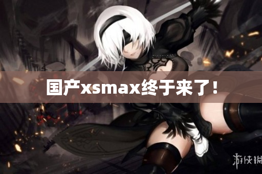 国产xsmax终于来了！