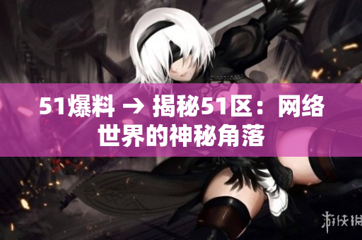 51爆料 → 揭秘51区：网络世界的神秘角落