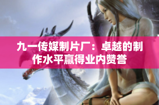 九一传媒制片厂：卓越的制作水平赢得业内赞誉