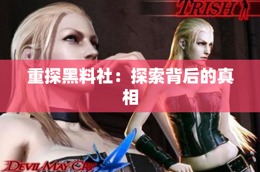 重探黑料社：探索背后的真相