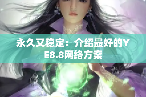 永久又稳定：介绍最好的YE8.8网络方案