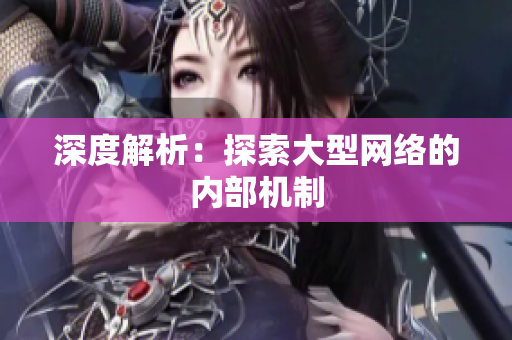 深度解析：探索大型网络的内部机制