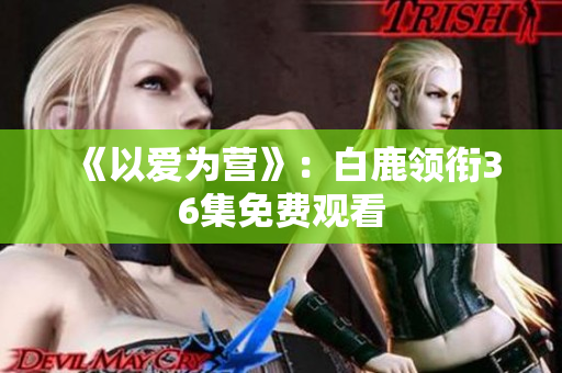 《以爱为营》：白鹿领衔36集免费观看