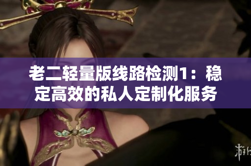 老二轻量版线路检测1：稳定高效的私人定制化服务