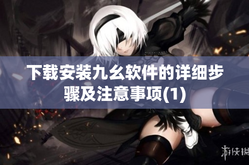 下载安装九幺软件的详细步骤及注意事项(1)