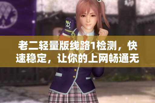 老二轻量版线路1检测，快速稳定，让你的上网畅通无阻