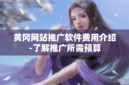 黄冈网站推广软件费用介绍-了解推广所需预算