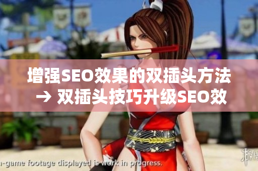 增强SEO效果的双插头方法 → 双插头技巧升级SEO效果