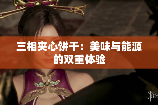 三相夹心饼干：美味与能源的双重体验