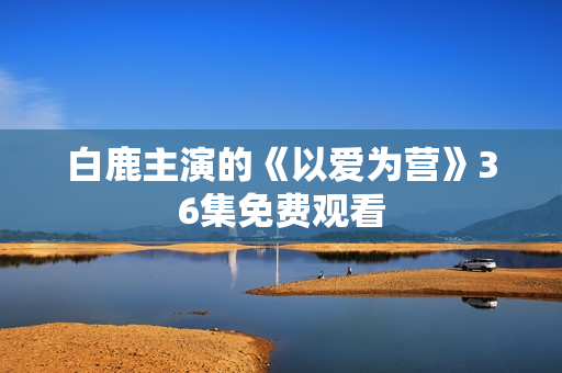 白鹿主演的《以爱为营》36集免费观看