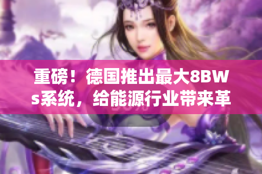 重磅！德国推出最大8BWs系统，给能源行业带来革命性变化