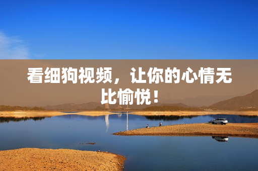 看细狗视频，让你的心情无比愉悦！