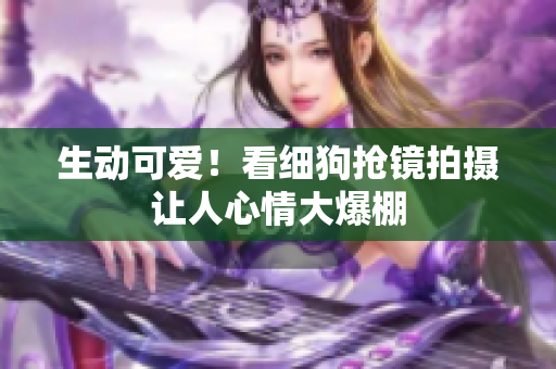 生动可爱！看细狗抢镜拍摄让人心情大爆棚