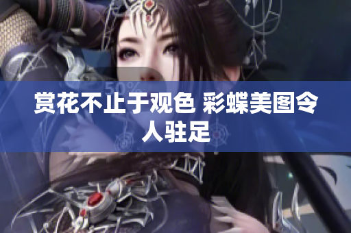 赏花不止于观色 彩蝶美图令人驻足
