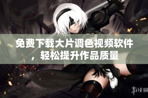 免费下载大片调色视频软件，轻松提升作品质量