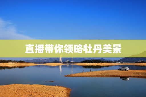直播带你领略牡丹美景