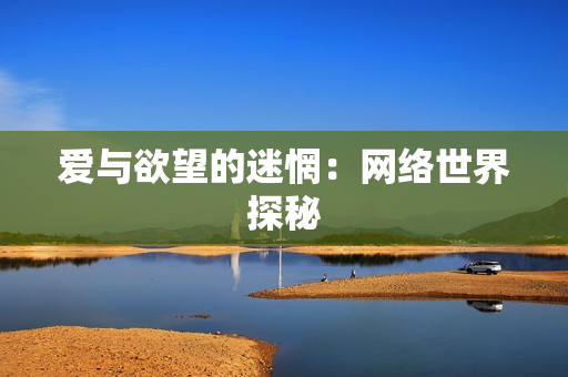 爱与欲望的迷惘：网络世界探秘
