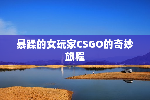 暴躁的女玩家CSGO的奇妙旅程