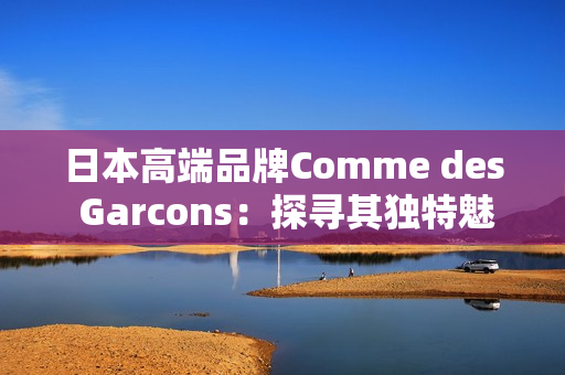 日本高端品牌Comme des Garcons：探寻其独特魅力