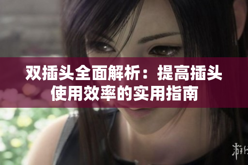 双插头全面解析：提高插头使用效率的实用指南
