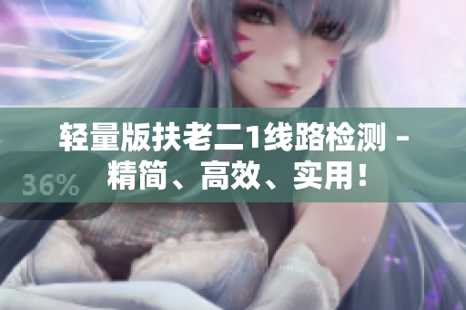 轻量版扶老二1线路检测 – 精简、高效、实用！