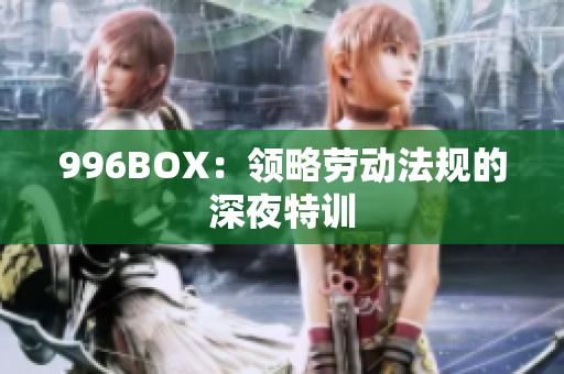 996BOX：领略劳动法规的深夜特训