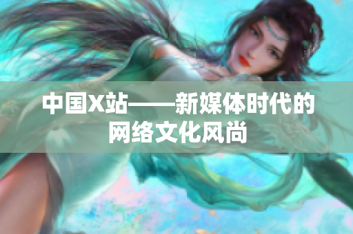 中国X站——新媒体时代的网络文化风尚