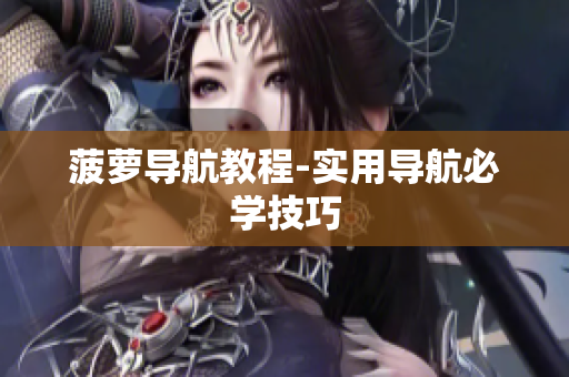 菠萝导航教程-实用导航必学技巧