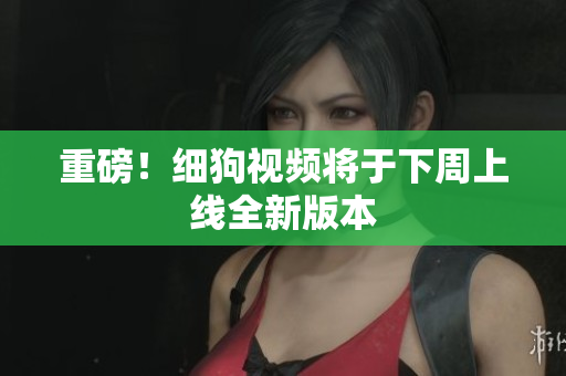 重磅！细狗视频将于下周上线全新版本