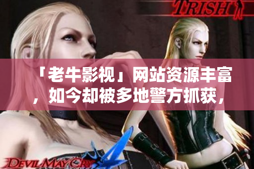 「老牛影视」网站资源丰富，如今却被多地警方抓获，原因让人意外