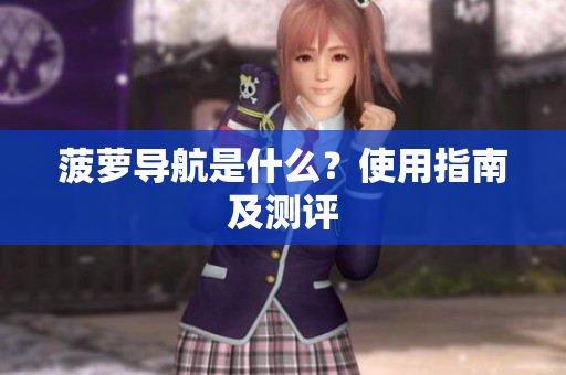 菠萝导航是什么？使用指南及测评