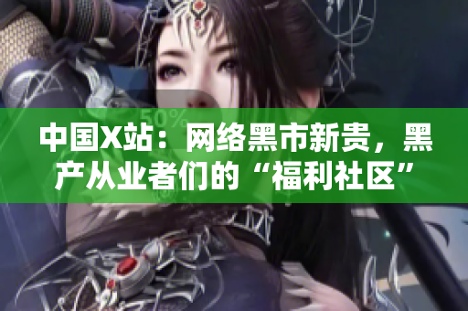 中国X站：网络黑市新贵，黑产从业者们的“福利社区”